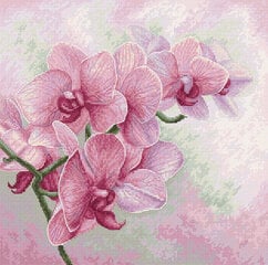 Набор для вышивания Luca-S Изящные орхидеи SB7009 цена и информация | Принадлежности для вышивания | pigu.lt