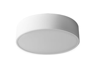 Lempos lemputė 30cm apvalios baltos lubos APP641-2C kaina ir informacija | Pakabinami šviestuvai | pigu.lt