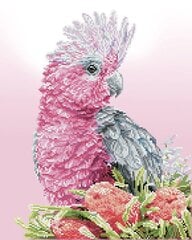 Deimantinė mozaika Pink Galah Banksia, 41x51 kaina ir informacija | Deimantinės mozaikos | pigu.lt