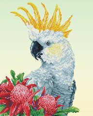 Deimantinė mozaika White Cockatoo Warathas, 41x51 kaina ir informacija | Deimantinės mozaikos | pigu.lt