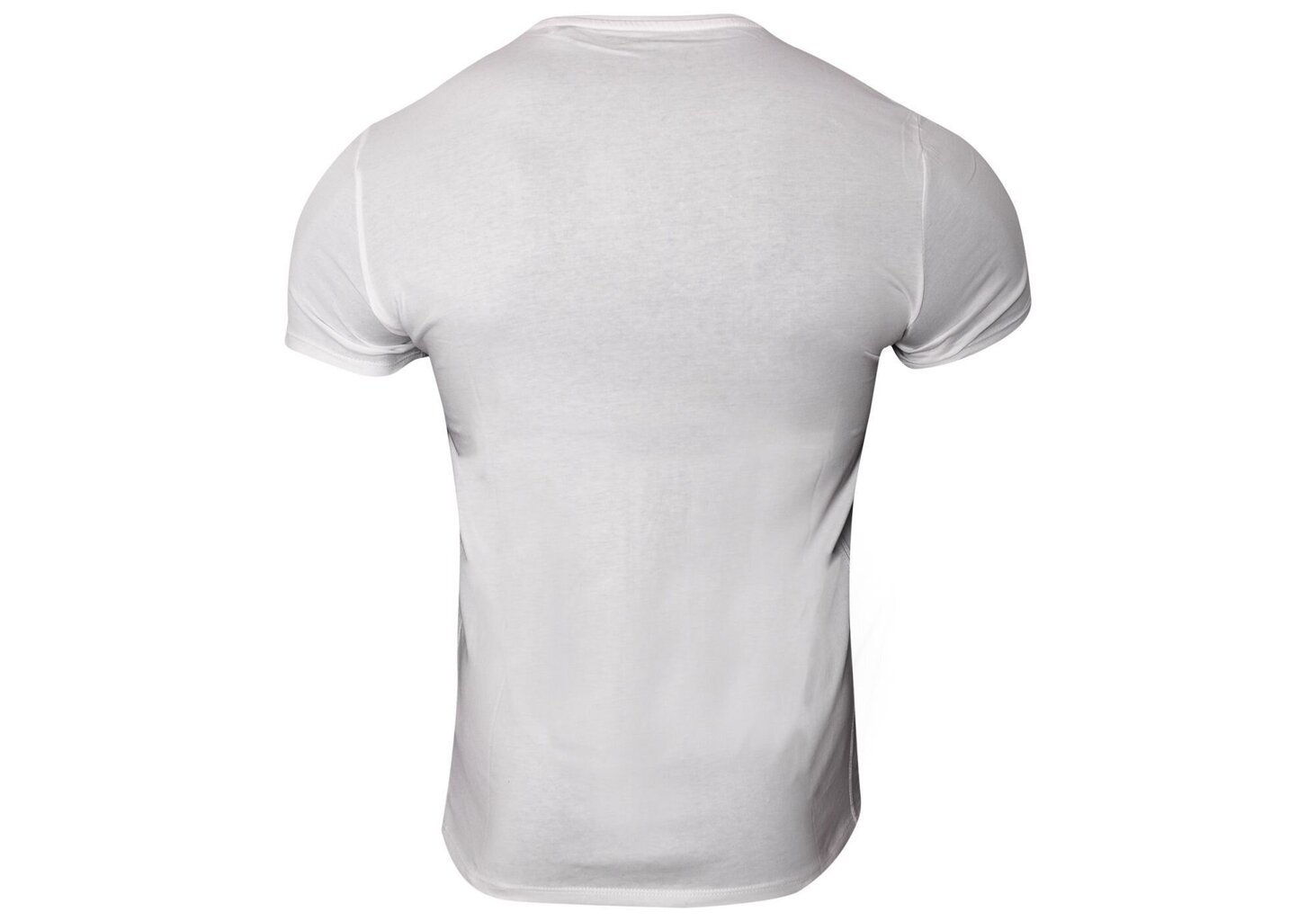 Marškinėliai vyrams Guess, pilki kaina ir informacija | Vyriški marškinėliai | pigu.lt