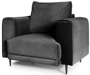 Fotelis NORE Dalia, juodas kaina ir informacija | Svetainės foteliai | pigu.lt