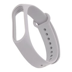 iStrap Watch Band Grey цена и информация | Аксессуары для смарт-часов и браслетов | pigu.lt