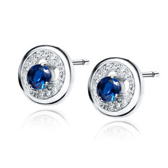 Серебряные круглые серьги с синим цирконием и сердцем Z1902E_BL цена и информация | Серьги | pigu.lt