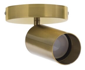 Потолочный настенный светильник Activejet SPECTRA GU10 с одним золотым покрытием для гостиной цена и информация | Настенные светильники | pigu.lt