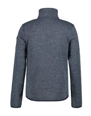 Icepeak vyriškas džemperis Adrian 57837-2*395 kaina ir informacija | Džemperiai vyrams | pigu.lt