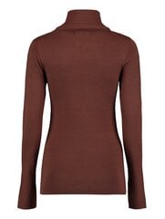 Женский свитер Hailys Alba DZ, коричневый цена и информация | Женские кофты | pigu.lt