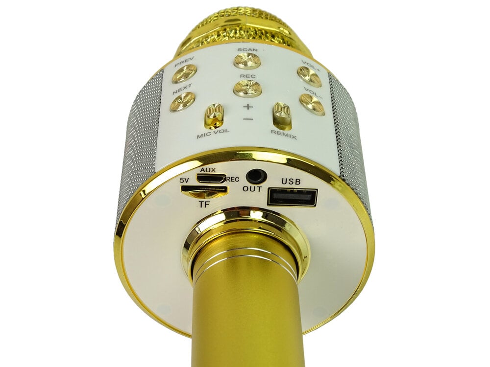 Belaidis karaoke mikrofonas su garsiakalbiais ir įrašymo funkcija WS-858, auksinis цена и информация | Lavinamieji žaislai | pigu.lt