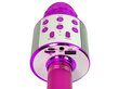 Belaidis karaoke mikrofonas su garsiakalbiais ir įrašymo funkcija WS-858, rožinis kaina ir informacija | Lavinamieji žaislai | pigu.lt
