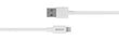 Deltaco IPLH-401 USB-A /Lightning, 1 m kaina ir informacija | Laidai telefonams | pigu.lt