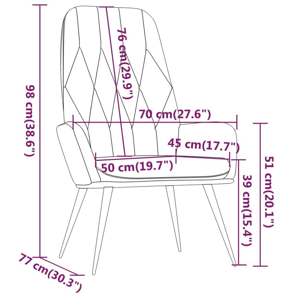 Poilsio kėdė, šviesiai pilka, aksomas kaina ir informacija | Svetainės foteliai | pigu.lt