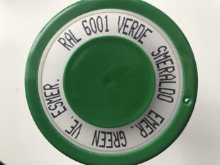 Akriliniai purškiami dažai V400RAL6001 žalia sp., 400 ml kaina ir informacija | Dažai | pigu.lt