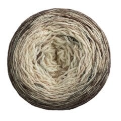 Пряжа Malabrigo Sock, цвет Gravity, 100 г, 402 м цена и информация | Принадлежности для вязания | pigu.lt