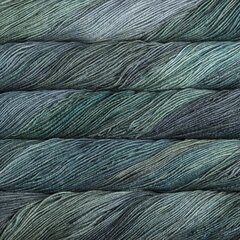 Пряжа Malabrigo Sock, цвет Aguas, 100 г, 402 м цена и информация | Принадлежности для вязания | pigu.lt