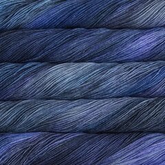 Пряжа Malabrigo Sock, цвет Azules, 100 г, 402 м цена и информация | Принадлежности для вязания | pigu.lt