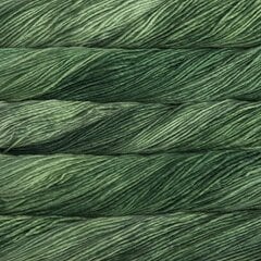 Пряжа Malabrigo Worsted, цвет Saphire Green, 100 г, 192 м цена и информация | Принадлежности для вязания | pigu.lt