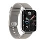 Watchmark Fashion Smartone Silver цена и информация | Išmanieji laikrodžiai (smartwatch) | pigu.lt