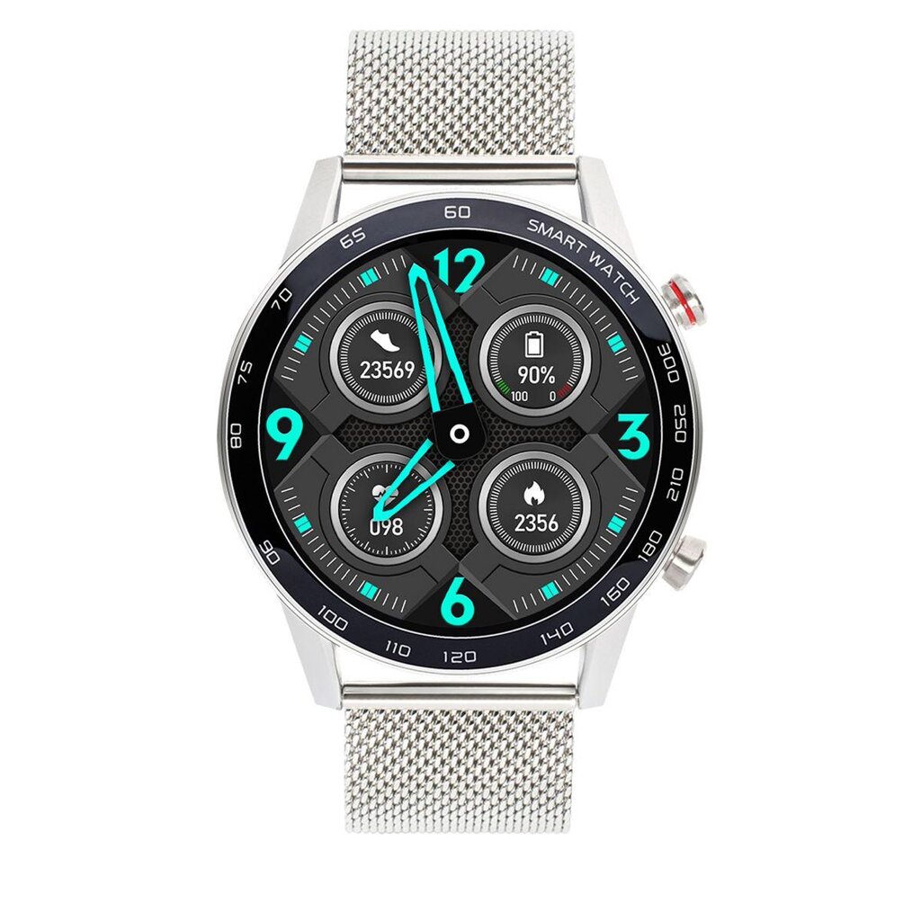 WDT95 Silver Steel kaina ir informacija | Išmanieji laikrodžiai (smartwatch) | pigu.lt