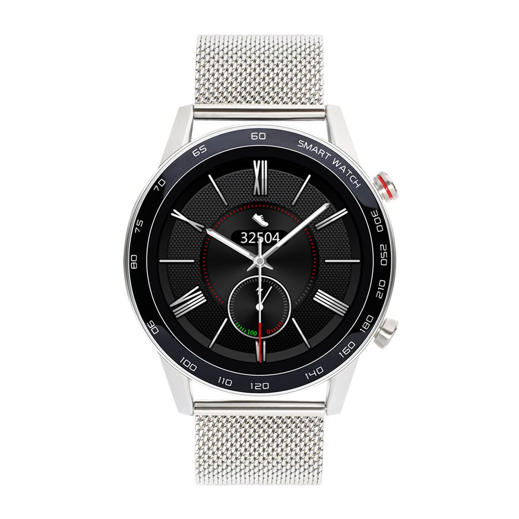 WDT95 Silver Steel kaina ir informacija | Išmanieji laikrodžiai (smartwatch) | pigu.lt