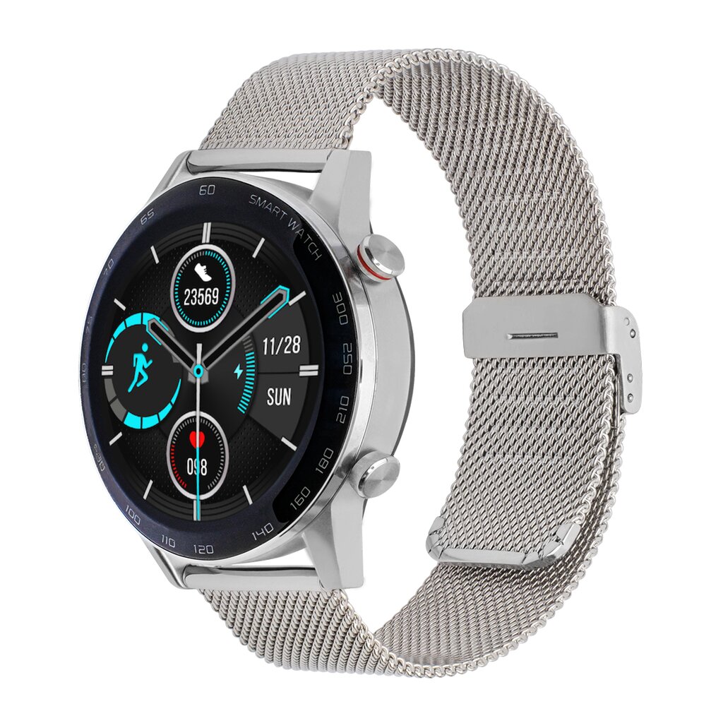 WDT95 Silver Steel kaina ir informacija | Išmanieji laikrodžiai (smartwatch) | pigu.lt