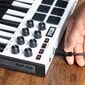 Klaviatūra Akai MPK Mini MK3 Control kaina ir informacija | Klavišiniai muzikos instrumentai | pigu.lt