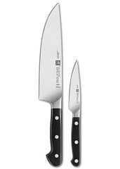 Zwilling peilis, 42 cm kaina ir informacija | Peiliai ir jų priedai | pigu.lt