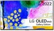 LG OLED65G23LA kaina ir informacija | Televizoriai | pigu.lt