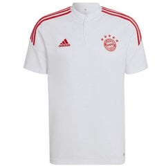 Vyriški marškinėliai Adidas FC Bayern Training Polo M HB0614, balti цена и информация | Мужская спортивная одежда | pigu.lt