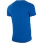 Vyriški marškinėliai 4F mėlyni H4Z22 TSM352 33S kaina ir informacija | Vyriški marškinėliai | pigu.lt