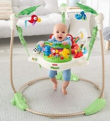 Ходунки Fisher Price Rainforest цена и информация | Шезлонги и качели | pigu.lt