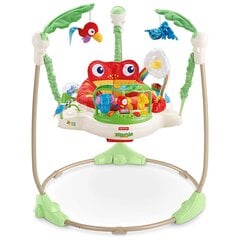 Ходунки Fisher Price Rainforest цена и информация | Шезлонги и качели | pigu.lt