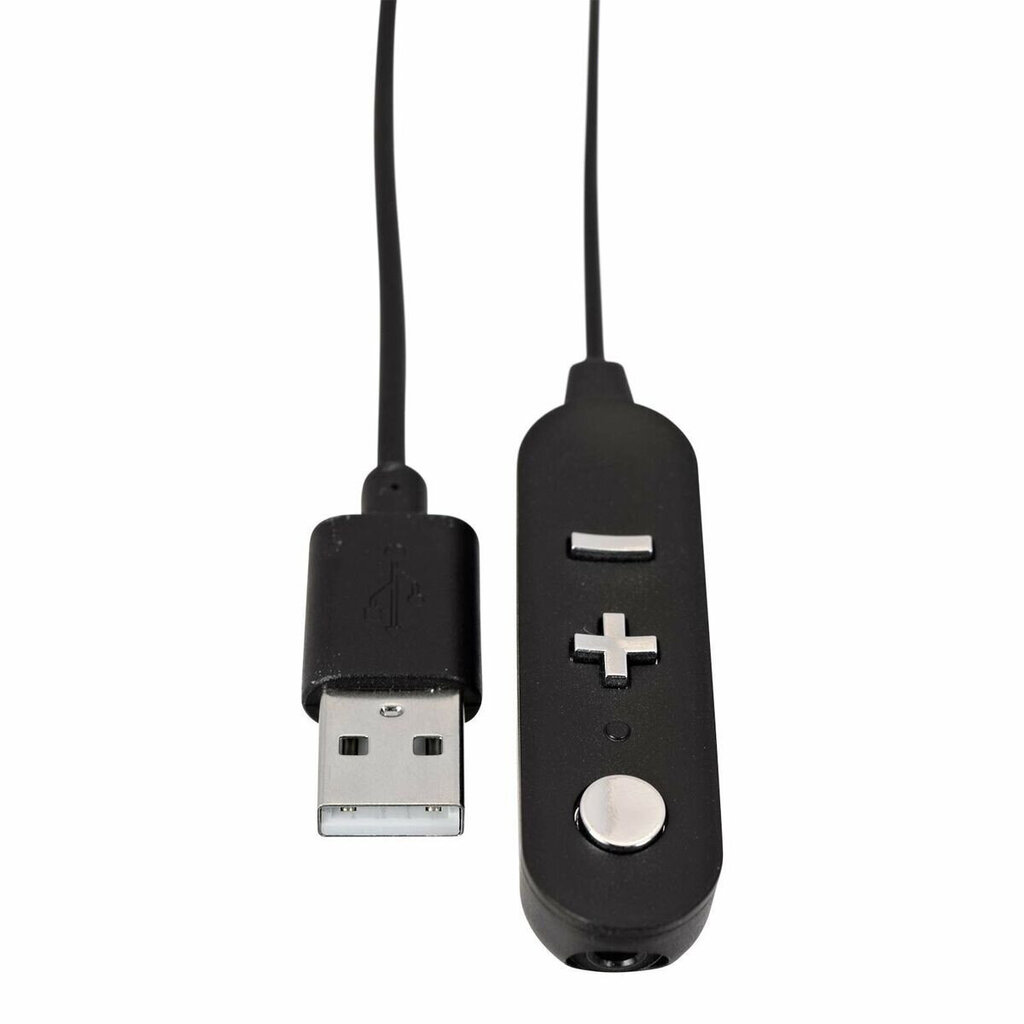 V7 CAUSB-A цена и информация | Adapteriai, USB šakotuvai | pigu.lt