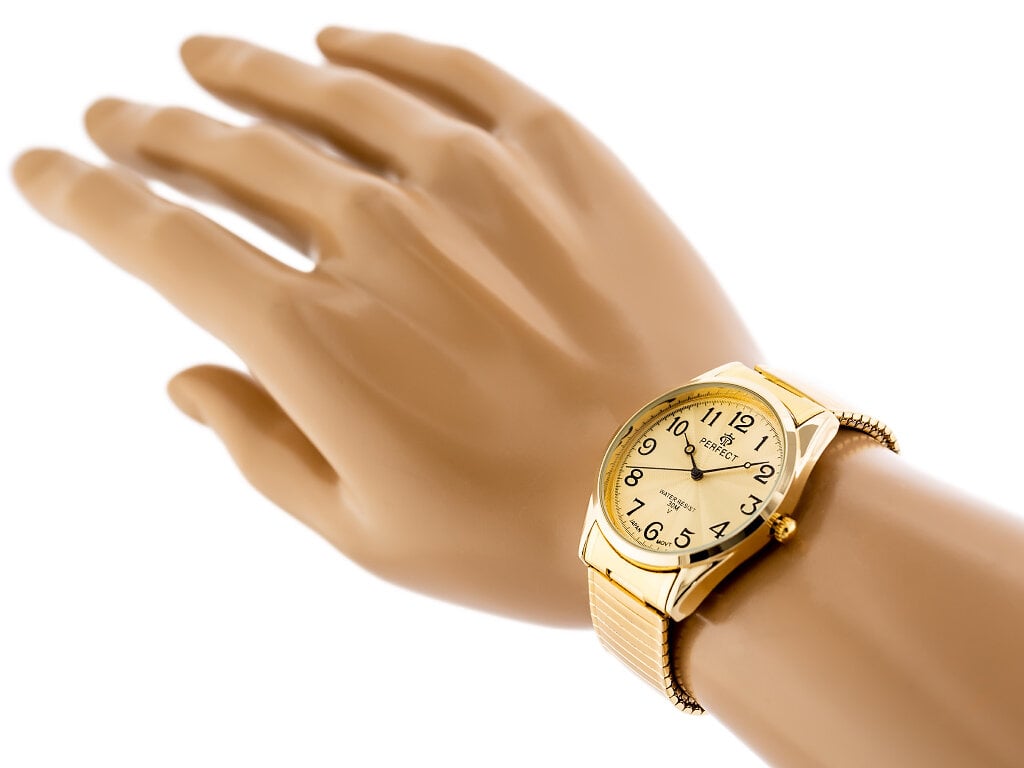 Laikrodis vyrams Perfect kaina ir informacija | Vyriški laikrodžiai | pigu.lt