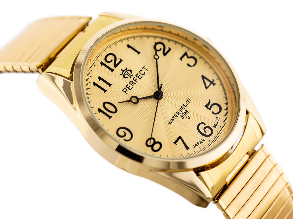 Laikrodis vyrams Perfect цена и информация | Vyriški laikrodžiai | pigu.lt