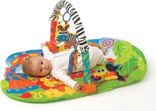 Lavinamasis kilimėlis Palygro Safari 3in1 kaina ir informacija | Playgro Vaikams ir kūdikiams | pigu.lt