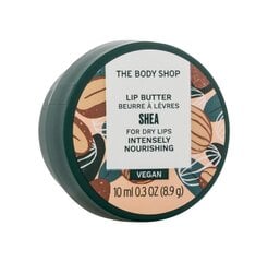 Lūpų balzamas The Body Shop Shea, 10 ml kaina ir informacija | Lūpų dažai, blizgiai, balzamai, vazelinai | pigu.lt