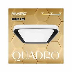 Потолочный светильник Eko-Light Quadro Black цена и информация | Потолочные светильники | pigu.lt