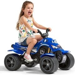 Миниатюрный квадроцикл Falk Quad Racing, синий цена и информация | Falk Товары для детей и младенцев | pigu.lt