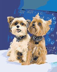 Tapyba pagal skaičius Maži šunys 40x50 G Z5745 kaina ir informacija | Tapyba pagal skaičius | pigu.lt