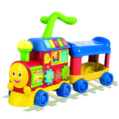 Daugiafunkcinis lokomotyvas vaikams kaina ir informacija | Žaislai kūdikiams | pigu.lt