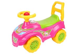 Paspiriamasis automobilis mergaitei kaina ir informacija | Žaislai kūdikiams | pigu.lt