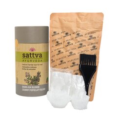 Травяная краска для волос Dark Ash Blond Sattva Ayurveda, 150 г цена и информация | Краска для волос | pigu.lt