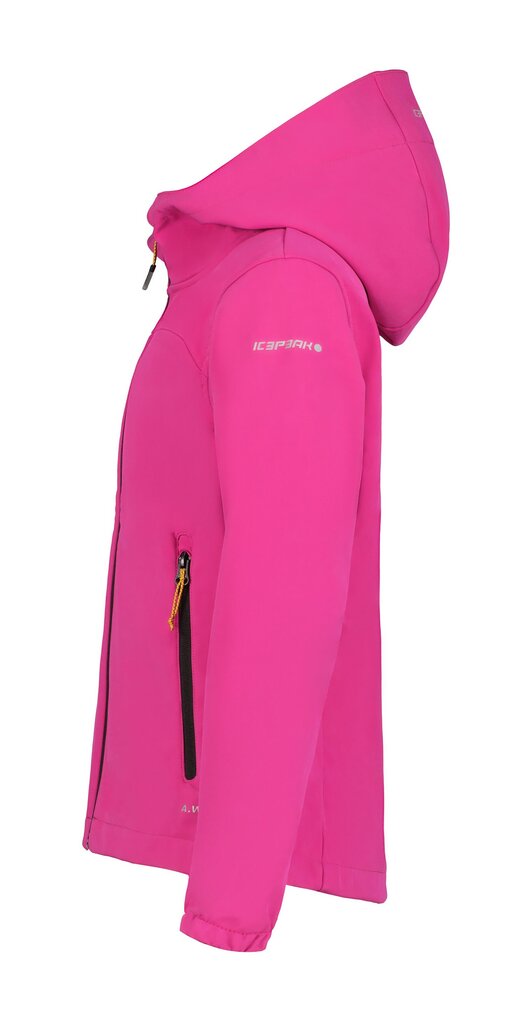 Džemperis mergaitėms Icepeak Kobryn 51896-2*635, rožinis kaina ir informacija | Megztiniai, bluzonai, švarkai mergaitėms | pigu.lt