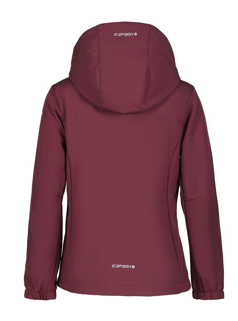 Džemperis mergaitėms Icepeak Kobryn 51896-2*968, rožinis kaina ir informacija | Megztiniai, bluzonai, švarkai mergaitėms | pigu.lt
