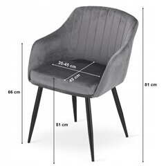 DAXO kėdė, tamsiai pilkas aksomas, 2x kaina ir informacija | Virtuvės ir valgomojo kėdės | pigu.lt