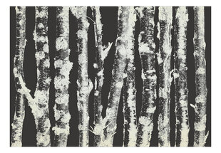 Fototapetas - Stately Birches - Second Variant kaina ir informacija | Fototapetai | pigu.lt