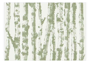 Fototapetas - Stately Birches - Third Variant kaina ir informacija | Fototapetai | pigu.lt