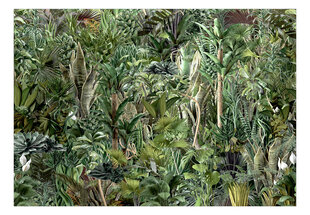 Fototapetas - Richness of Jungle kaina ir informacija | Fototapetai | pigu.lt