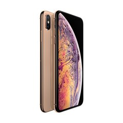 Apple iPhone XS Max 64GB Gold kaina ir informacija | Mobilieji telefonai | pigu.lt