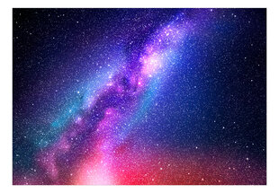 Обои - Great Galaxy цена и информация | Фотообои | pigu.lt